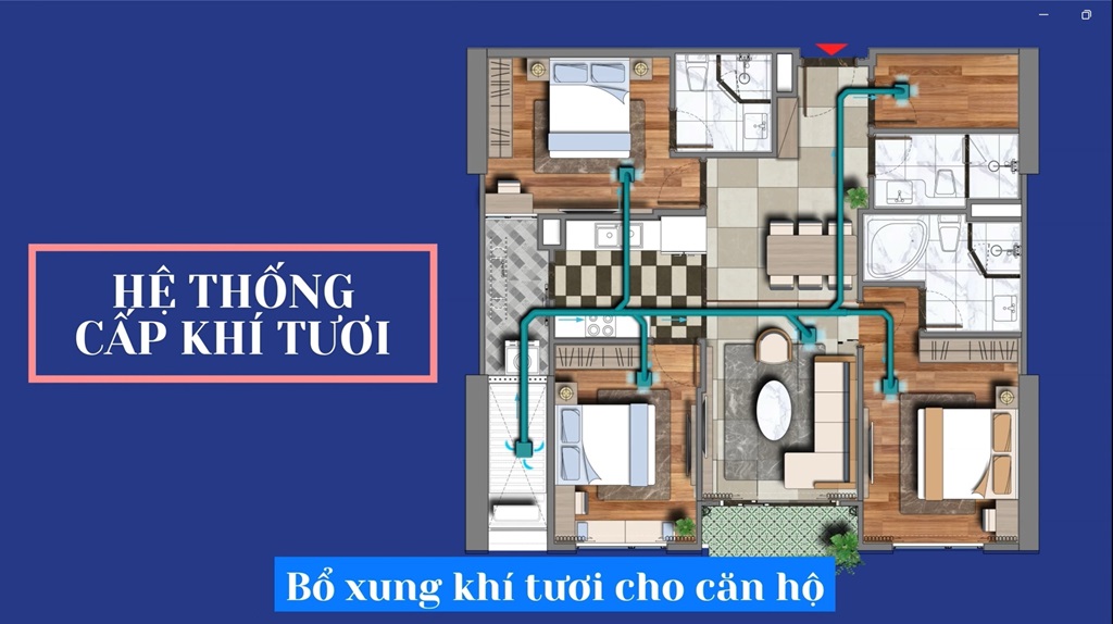 viha complex hệ thống khí tươi